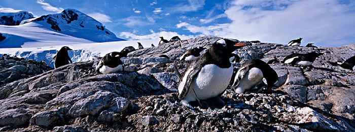单机游戏破局之路 中国游戏产业增长背后的驱动力