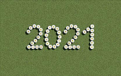 《匹诺曹的谎言》包揽NAVGTR四项大奖！